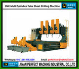 Multi Spindles CNC Drilling Machine for Tube Sheet (Model PHD3030)