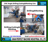 China CNC Angle Drilling and Marking Line Supplier Used in Transmission Tower Industry (BL2532)
