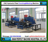 China TOP Supplier CNC Hydraulic Plate Punching Machine CNC Tower Manufacturing Machine (PP103)